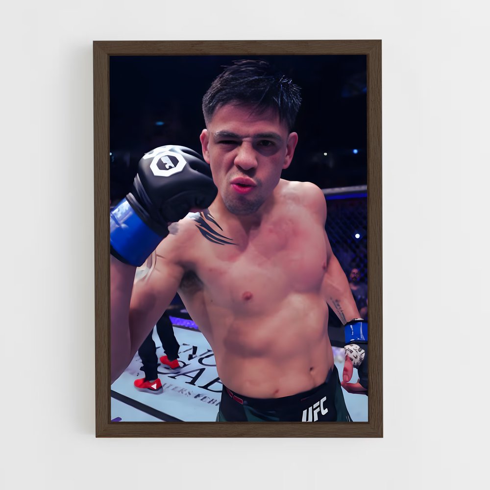 Poster Brandon de moreno – affiche MMA (vue 5)